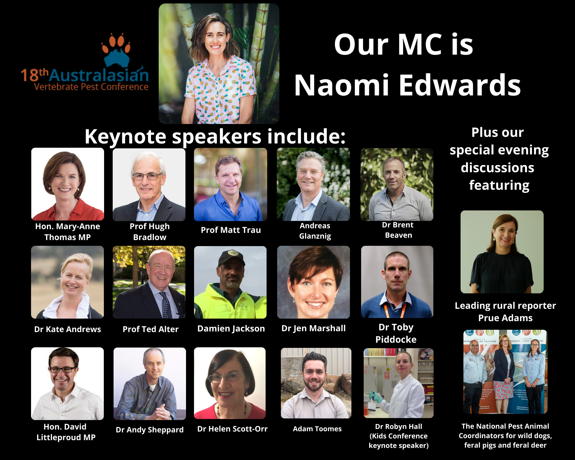 AVPC Keynote collage (1)